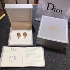 Christian Dior Earrings